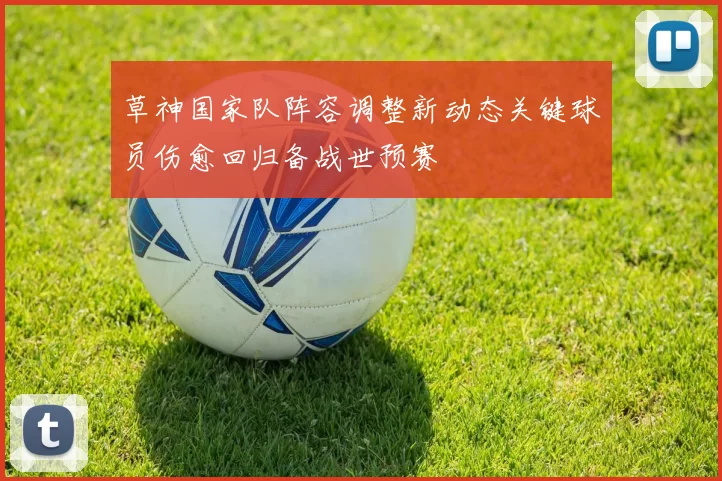 草神国家队阵容调整新动态关键球员伤愈回归备战世预赛