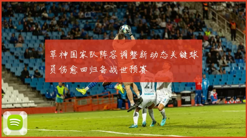 草神国家队阵容调整新动态关键球员伤愈回归备战世预赛