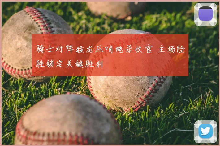 骑士对阵猛龙压哨绝杀收官 主场险胜锁定关键胜利